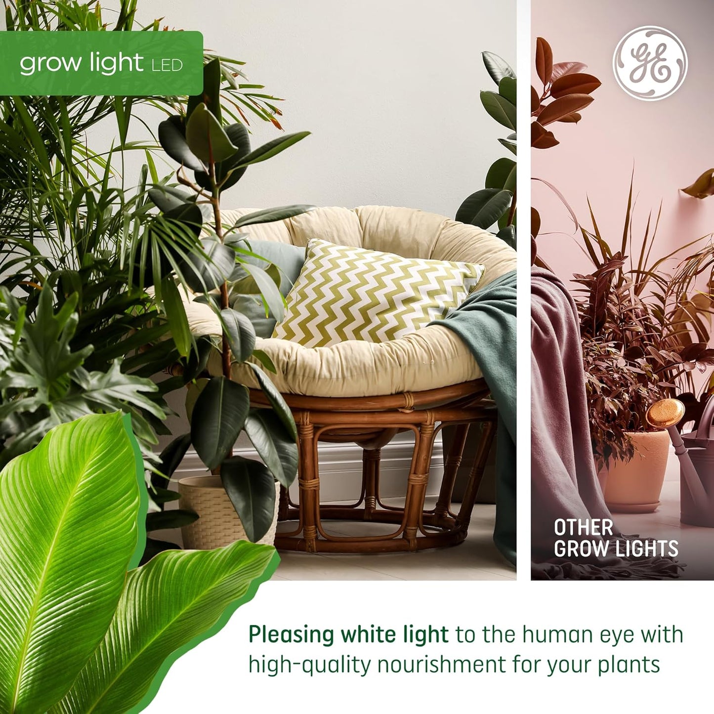 Grow LED Light Bulb for Plants Seeds and Greens with Balanced Light Spectrum, PAR38 Floodlight (1 Pack)